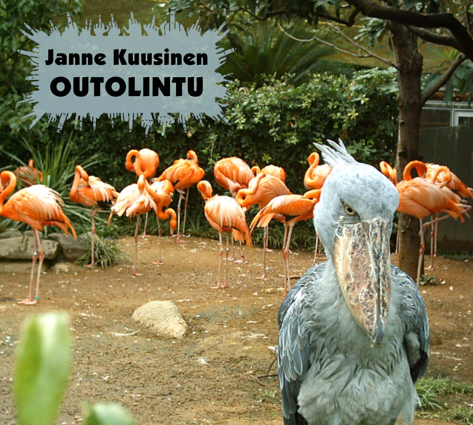 Janne Kuusinen:
                  Outolintu (julk. 1.9.2021)